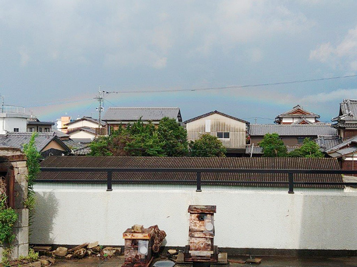 朝8時に見た虹の写真