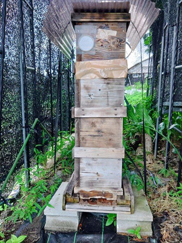ミツバチ巣箱の写真